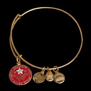Alex and Ani DC Comics Wonder Women Justice League Bracelet 2017 Collectable